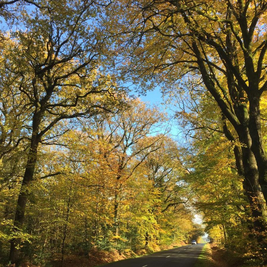 L'Hotie De Broceliande, Au Coeur Des Sites Naturels Et Legendaires Paimpont Dış mekan fotoğraf