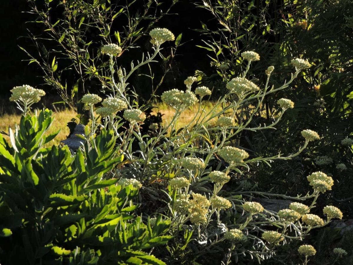 L'Hotie De Broceliande, Au Coeur Des Sites Naturels Et Legendaires Paimpont Dış mekan fotoğraf