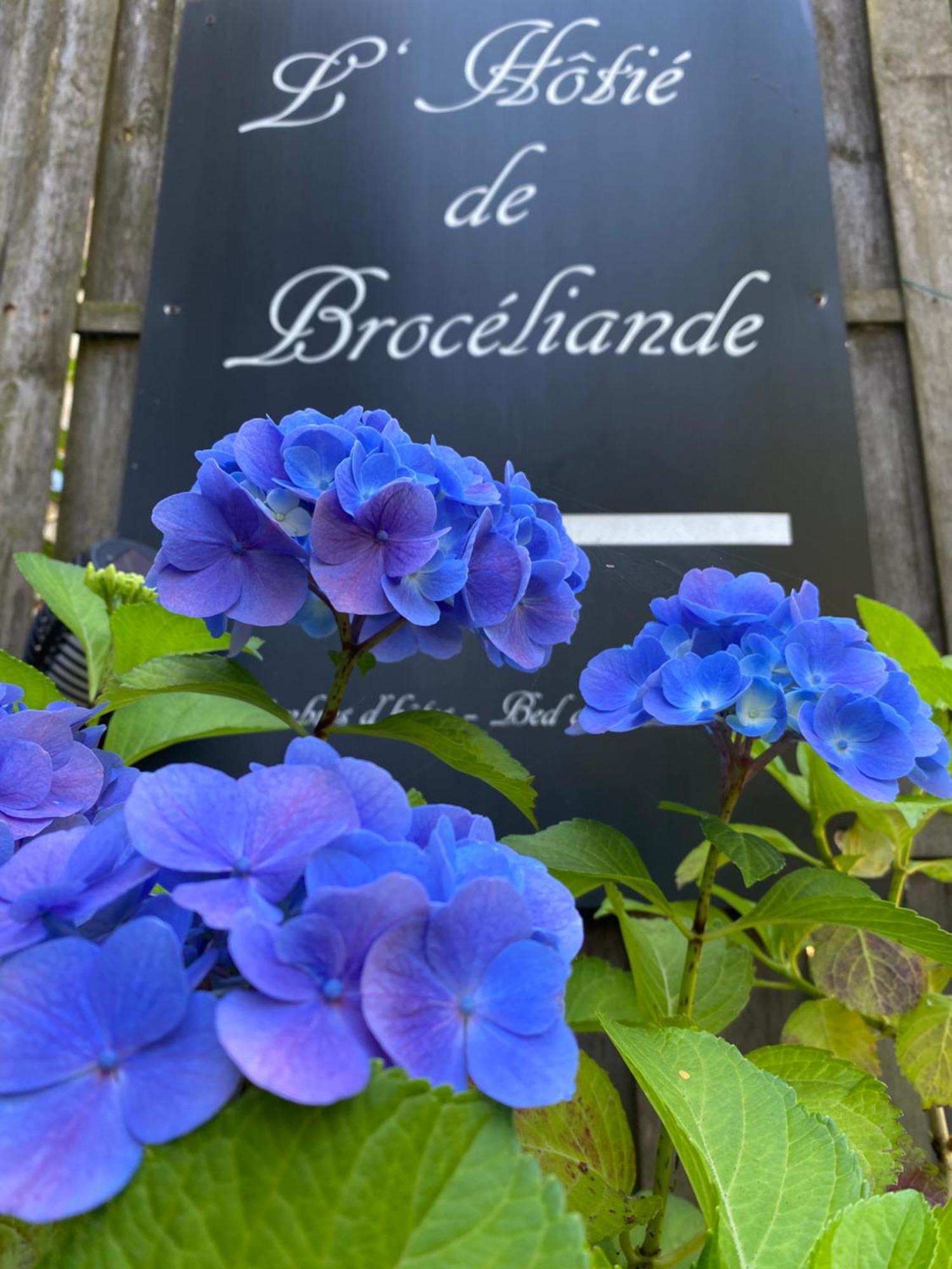 L'Hotie De Broceliande, Au Coeur Des Sites Naturels Et Legendaires Paimpont Dış mekan fotoğraf
