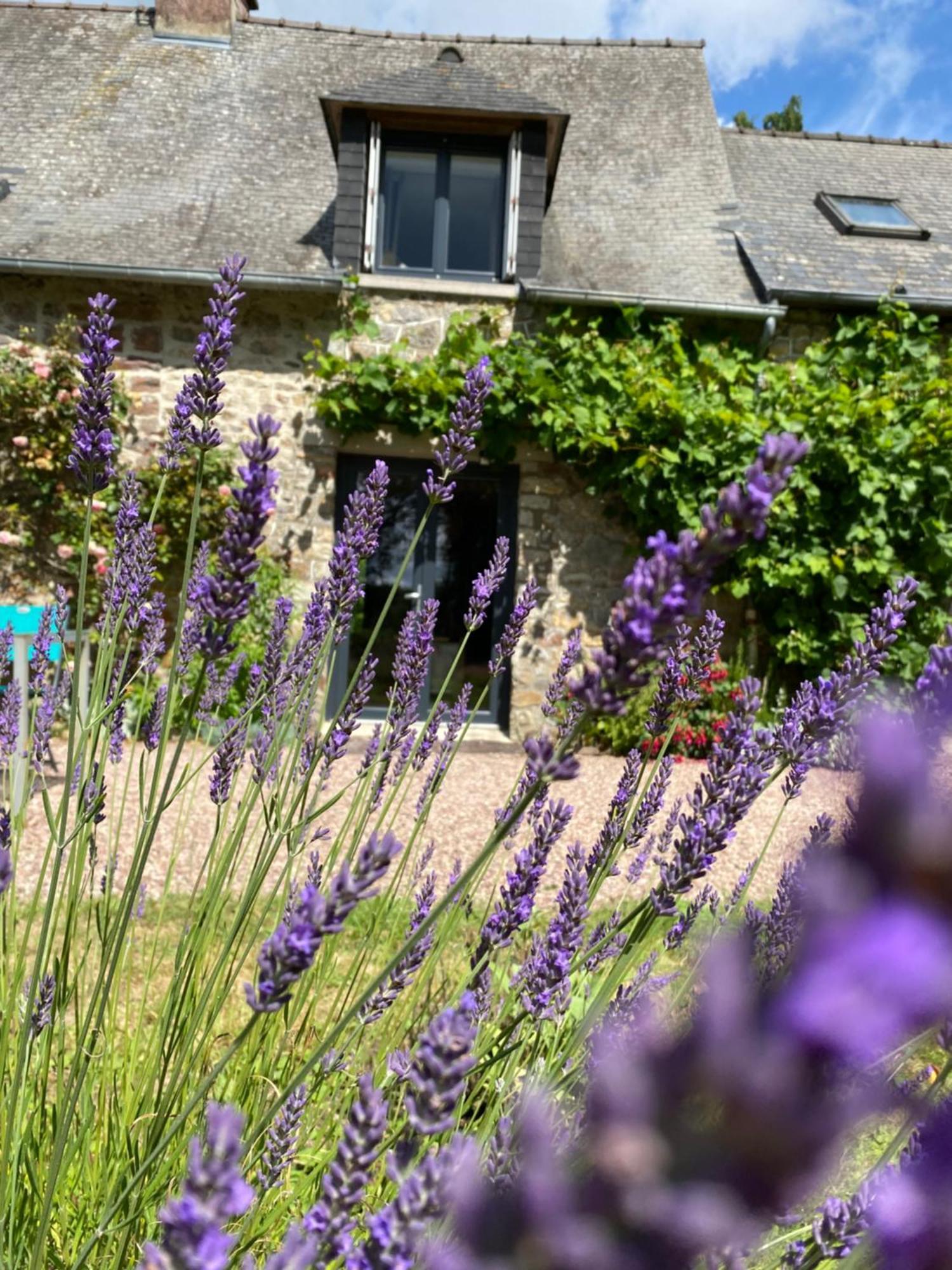 L'Hotie De Broceliande, Au Coeur Des Sites Naturels Et Legendaires Paimpont Dış mekan fotoğraf