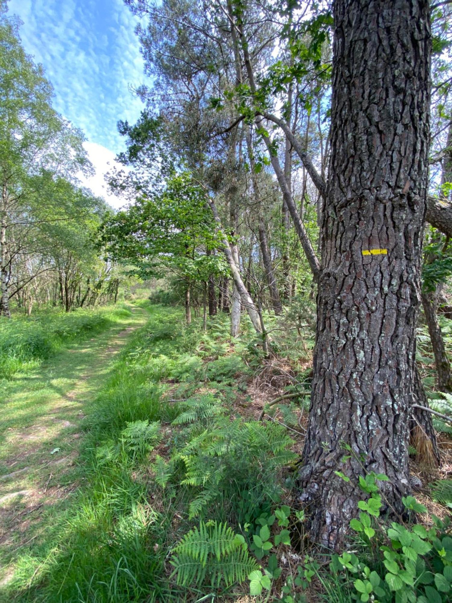 L'Hotie De Broceliande, Au Coeur Des Sites Naturels Et Legendaires Paimpont Dış mekan fotoğraf